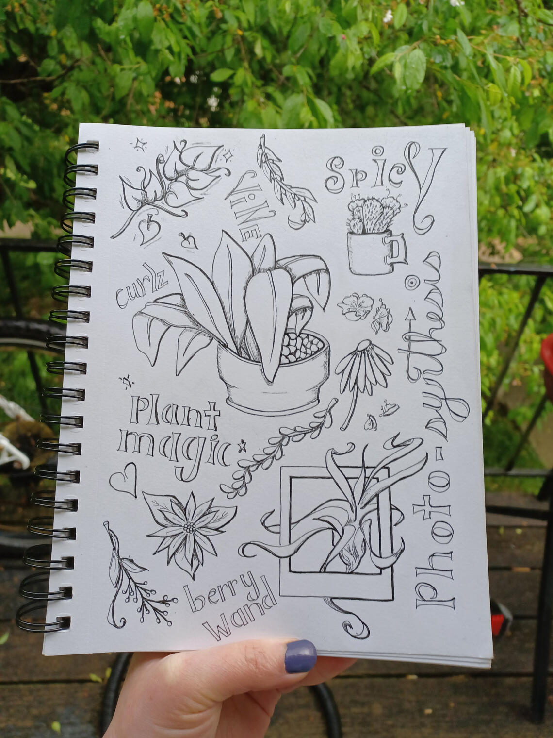 Plant Theme A plant themed drawing by the owner of the site, Laura Weiller.